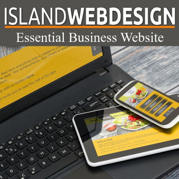 Essential Business Website - development, publishing and hosting